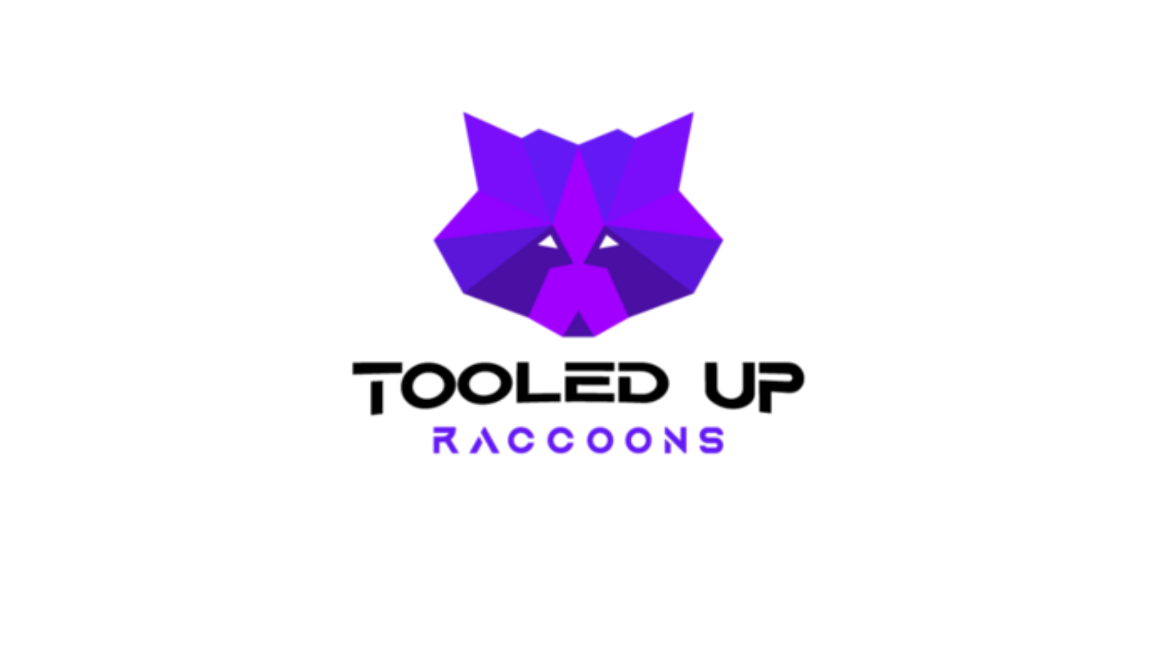 TooledupRaccons-BAnner.png